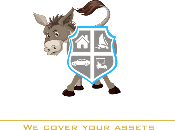 Asshield™ Insurance